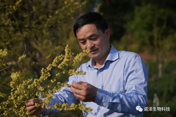 科創(chuàng)湖南之星|劉智謀：萃取中藥精華，反哺一方經(jīng)濟(jì)